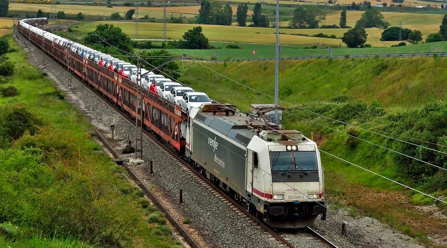 destacaada t10f1 Pecovasa