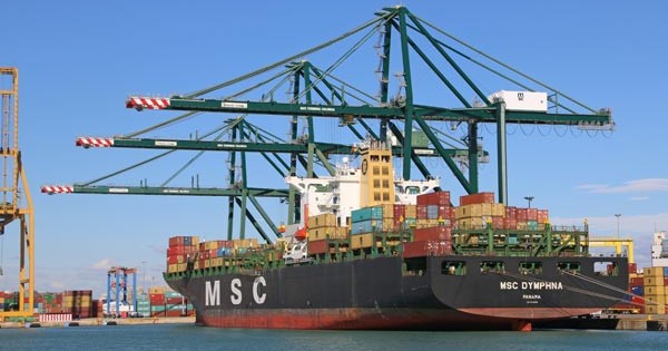 cropped-MSC-valencia-IMG_8302-Int-3.jpg