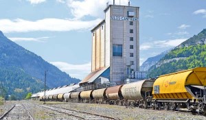 Silos Canfranc operaba entre dos y tres frecuencias semanales entre Canfranc y Martorell. 