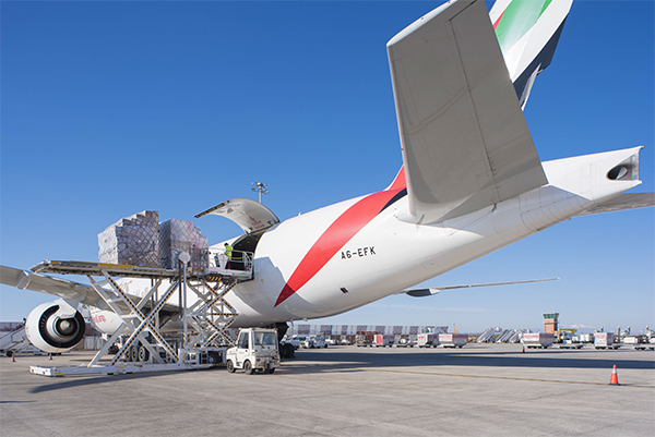 La carga aérea está entre las esperanzas de las aerolíneas.