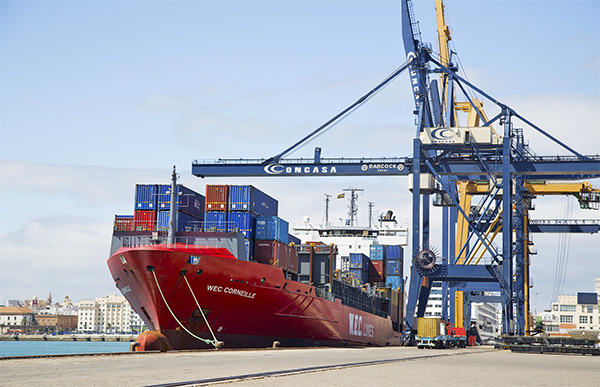 Operaciones de carga y descarga de contenedores en la terminal de Concasa en el puerto de Cádiz.