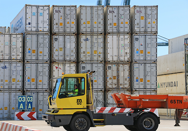 Zona de contenedores reefer en la terminal dedicada de MSC en Valencia.