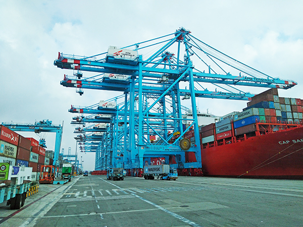 APM Terminals Algeciras maneja una media superior a 10.000 TEUs diarios. 