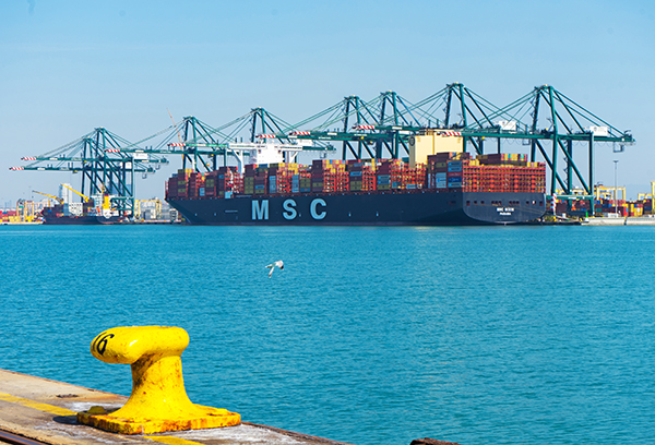 La terminal operó el pasado 3 de junio el buque "MSC Sixin", de 23.756 TEUs, el de mayor dimensión operado en su historia.