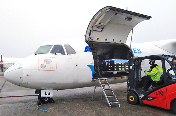 La aerolínea dobló tráficos el año pasado.