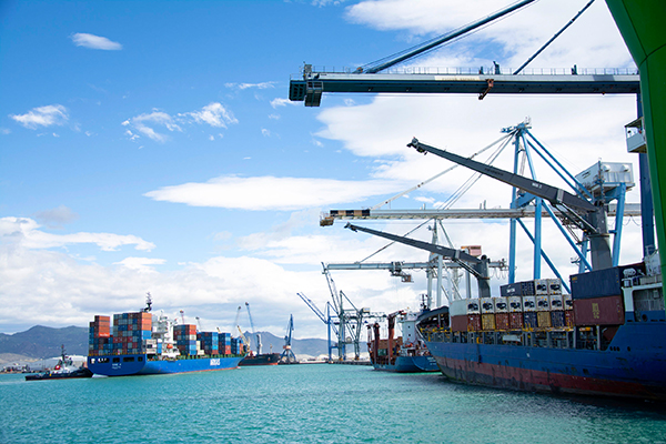El tráfico de exportación entre España y Argelia superó los 7,5 millones de toneladas en 2020.