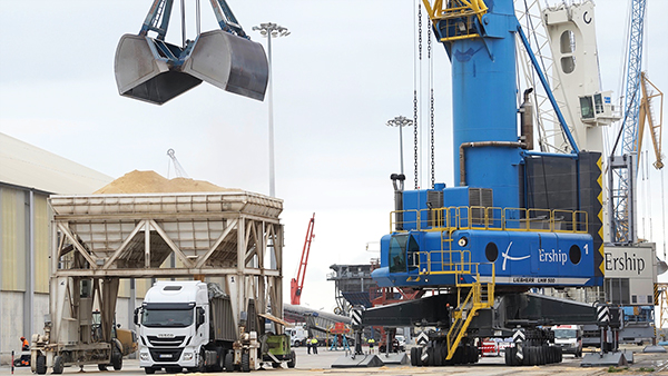 Operaciones de graneles sólidos en el puerto de Tarragona.