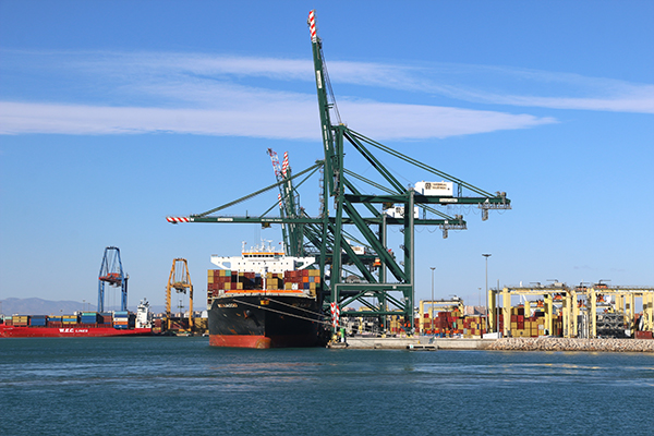 Terminal de MSC en la ampliación sur del Puerto de Valencia.