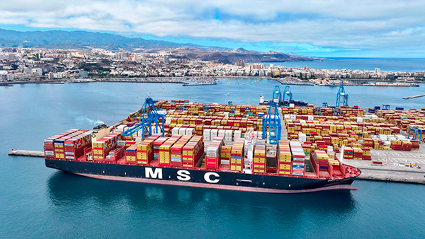 Un buque de MSC operando en el Muelle Cristóbal Colón del puerto de Las Palmas.