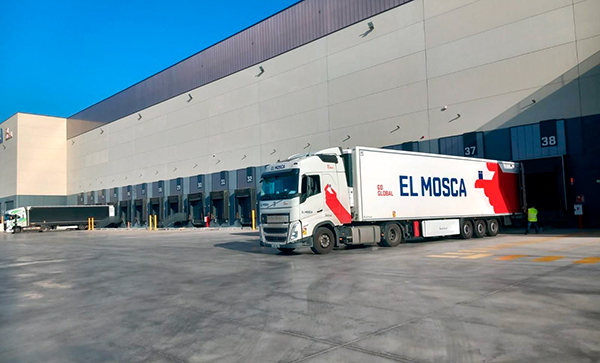Mosca Marítimo apuesta por renovar sus instalaciones en el Puerto de Alicante.