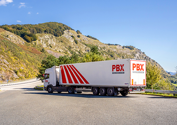 Palibex tiene en curso u