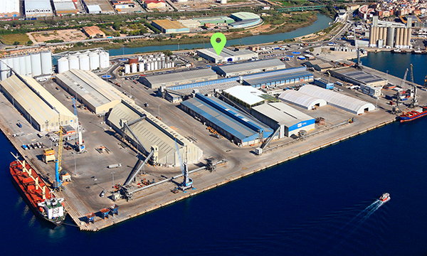La placa fotovoltaica del muelle de Castilla será la más grande promovida por la entidad.